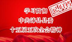學習貫徹中共沛縣縣委十五屆五次全會精神